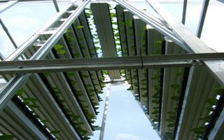 A-go-gro, vertical farming technology