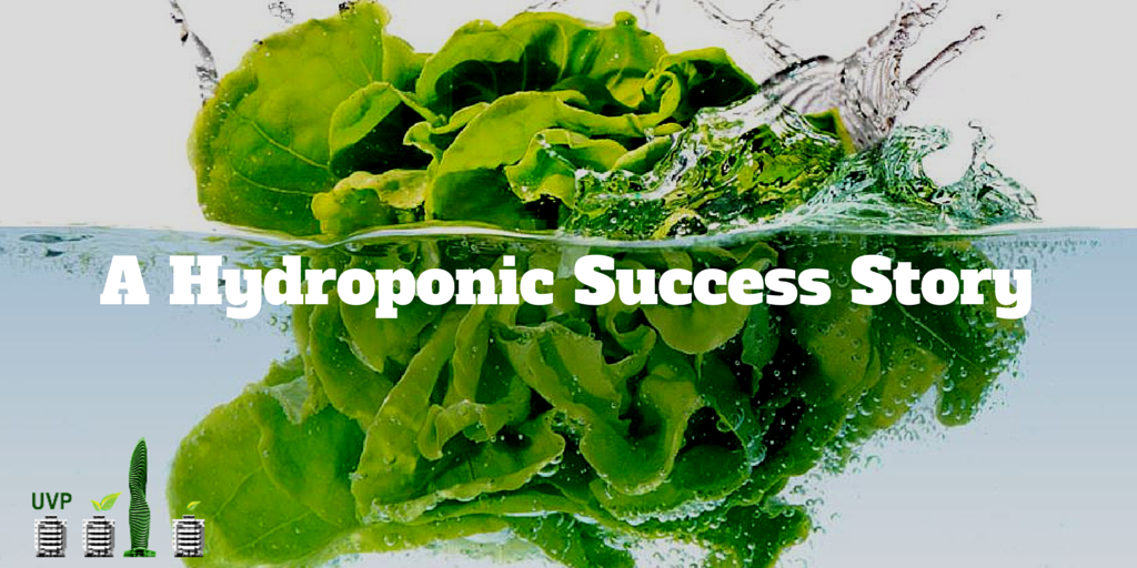 Hydroponic Success Stories